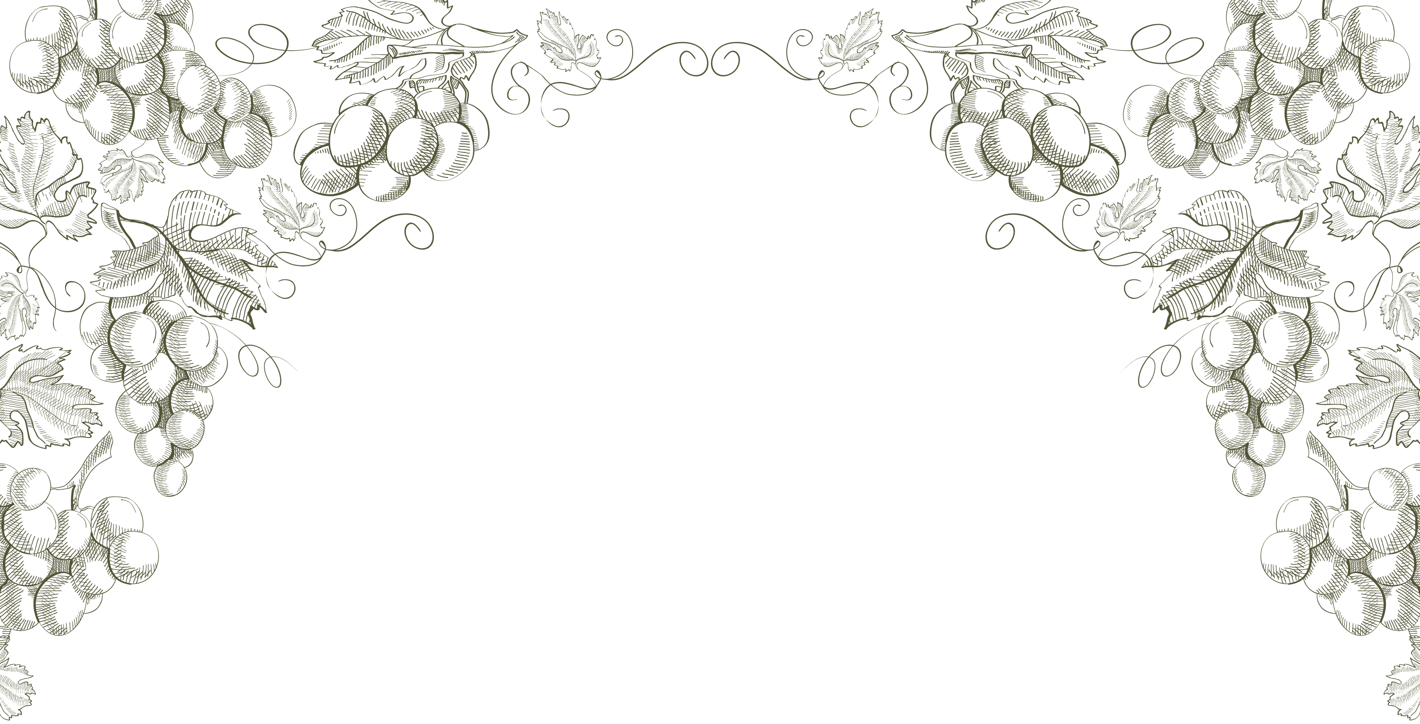 Կապ մեզ հետ