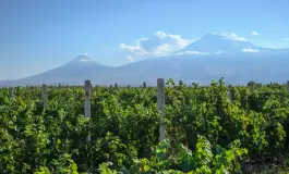 Արտաշատ-Վինկոն