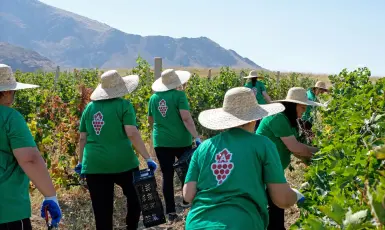 Արտաշատ-Վինկոն