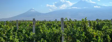 Неповторимость