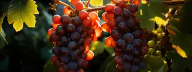 Солнечное тепло